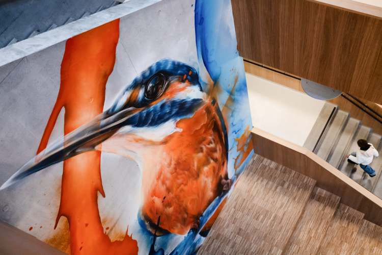 Primary school „Bruch“